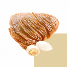 Sugared Almonds Double Milk Sfogliatella